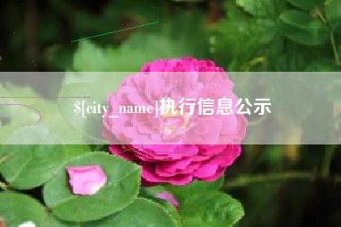 三门峡执行信息公示
