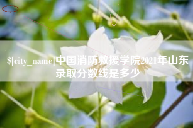 三门峡中国消防救援学院2021年山东录取分数线是多少