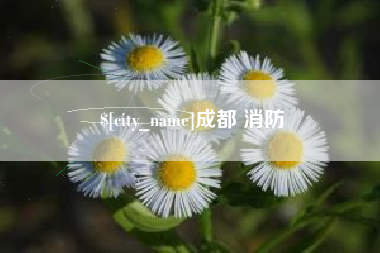 三门峡成都 消防