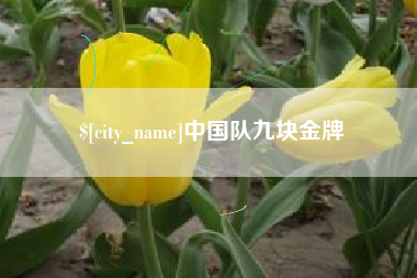 三门峡中国队九块金牌