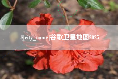 三门峡谷歌卫星地图2025
