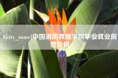 三门峡中国消防救援学院毕业就业前景如何