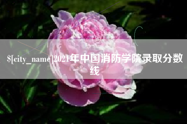 三门峡2021年中国消防学院录取分数线
