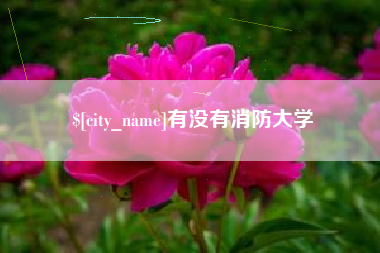 三门峡有没有消防大学