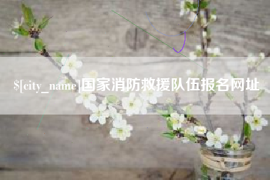 三门峡国家消防救援队伍报名网址