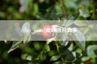 三门峡金牌图片真实