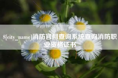 三门峡消防官网查询系统查询消防职业资格证书