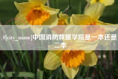 三门峡中国消防救援学院是一本还是二本