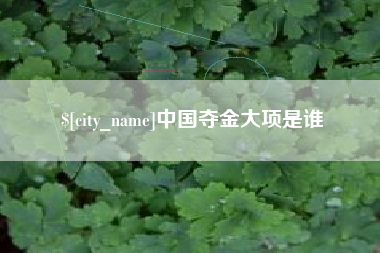 三门峡中国夺金大项是谁