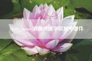 三门峡消防救援学院报考条件