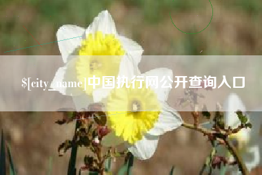 三门峡中国执行网公开查询入口