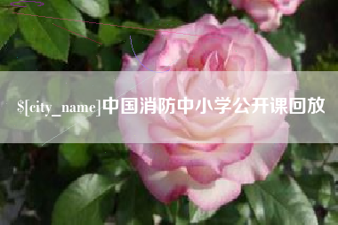 三门峡中国消防中小学公开课回放