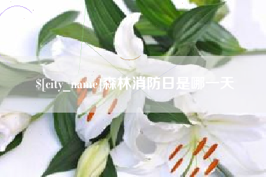 三门峡森林消防日是哪一天