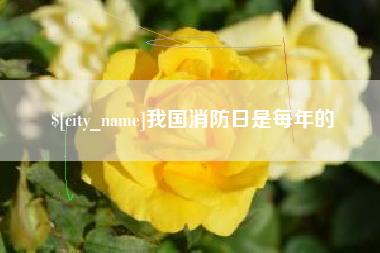 三门峡我国消防日是每年的