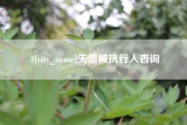 三门峡失信被执行人杳询