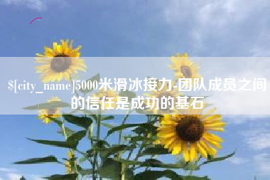 三门峡5000米滑冰接力-团队成员之间的信任是成功的基石