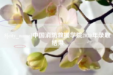 三门峡中国消防救援学院2020年录取结果