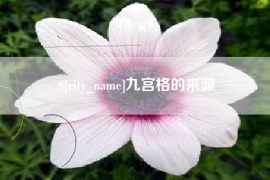 三门峡九宫格的来源
