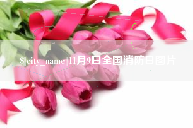 三门峡11月9日全国消防日图片