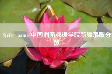 三门峡中国消防救援学院新疆录取分数