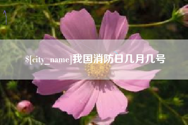 三门峡我国消防日几月几号