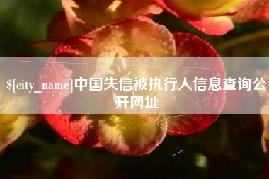 三门峡中国失信被执行人信息查询公开网址