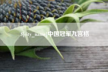 三门峡中国冠军九宫格