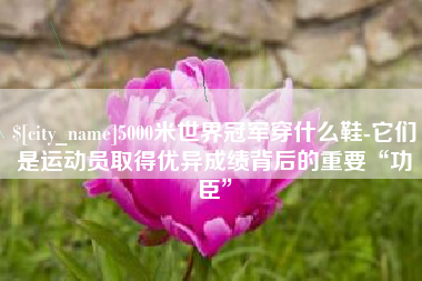 三门峡5000米世界冠军穿什么鞋-它们是运动员取得优异成绩背后的重要“功臣”