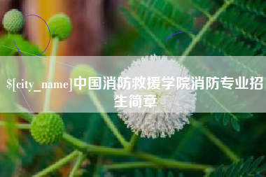 三门峡中国消防救援学院消防专业招生简章