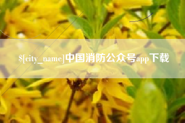 三门峡中国消防公众号app下载