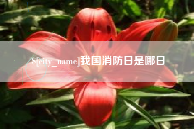 三门峡我国消防日是哪日
