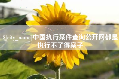 三门峡中国执行案件查询公开网都是执行不了得案子