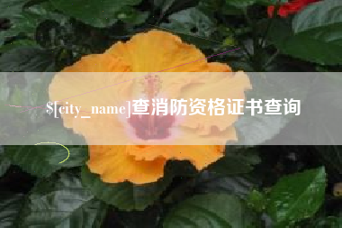 三门峡查消防资格证书查询