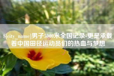 三门峡男子5000米全国记录-更是承载着中国田径运动员们的热血与梦想