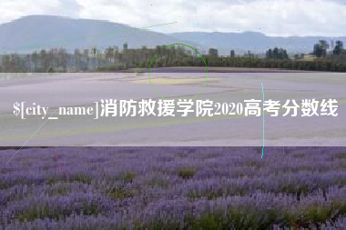 三门峡消防救援学院2020高考分数线