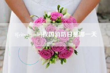 三门峡我国消防日是哪一天