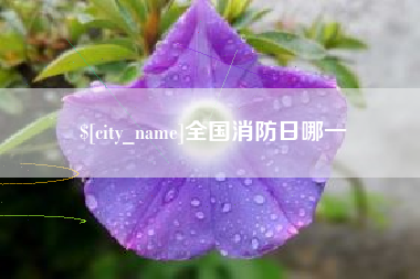 三门峡全国消防日哪一