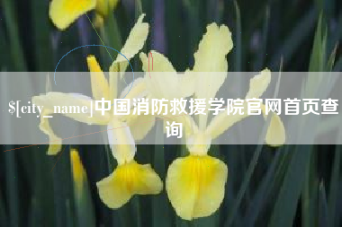 三门峡中国消防救援学院官网首页查询