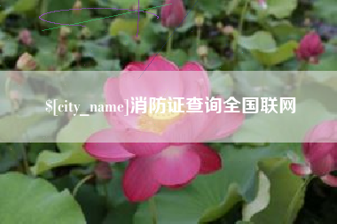 三门峡消防证查询全国联网