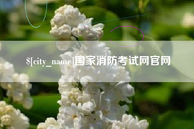 三门峡国家消防考试网官网