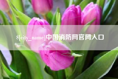 三门峡中国消防网官网入口