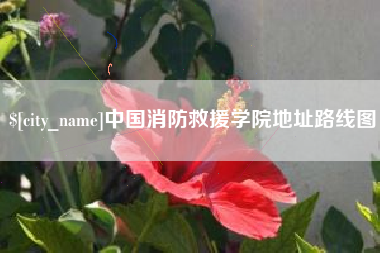 三门峡中国消防救援学院地址路线图