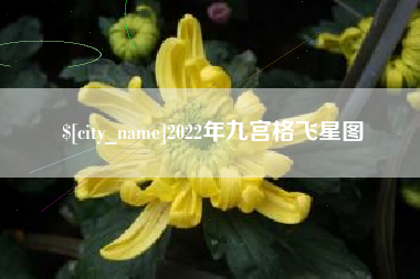 三门峡2022年九宫格飞星图