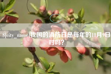 三门峡我国的消防日是每年的11月9日对吗？