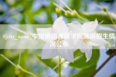 三门峡中国消防救援学院湖南招生情况公布