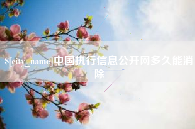 三门峡中国执行信息公开网多久能消除