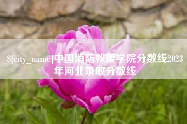 三门峡中国消防救援学院分数线2023年河北录取分数线