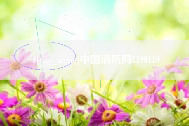 三门峡中国消防网1190119