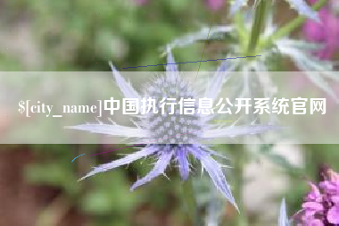 三门峡中国执行信息公开系统官网