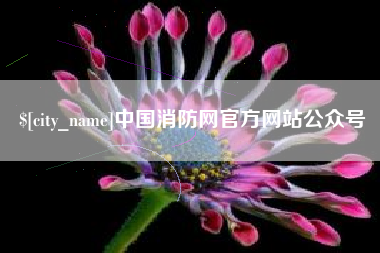 三门峡中国消防网官方网站公众号